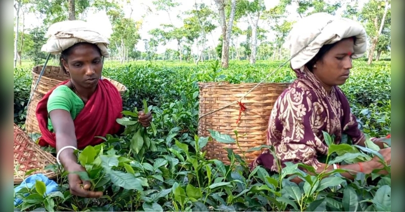 ঝুপড়ির কালো গহ্বরে বন্দি জীবন