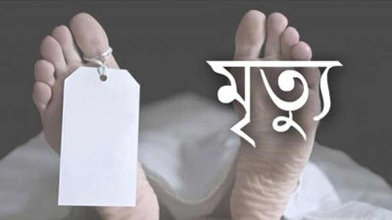 শেরপুরে বজ্রপাতে ও পানিতে ডুবে শিশুসহ মৃত্যু ২