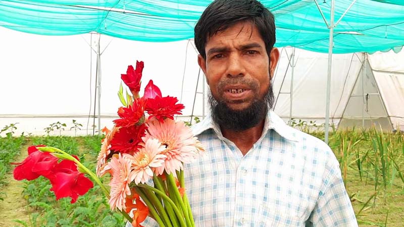 গ্লাডিওলাস চাষে সফল কৃষক সানু মিয়া 