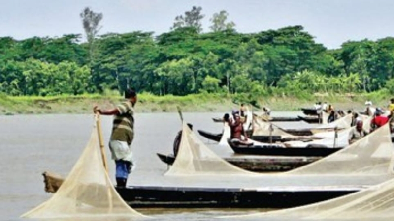 হালদায় থামছে না মাছ শিকার