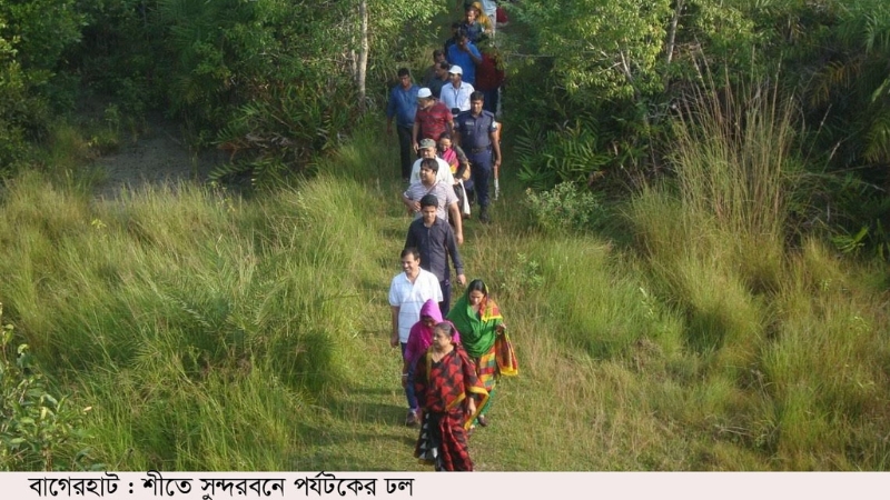 শীতে সুন্দরবনে পর্যটকের ঢল