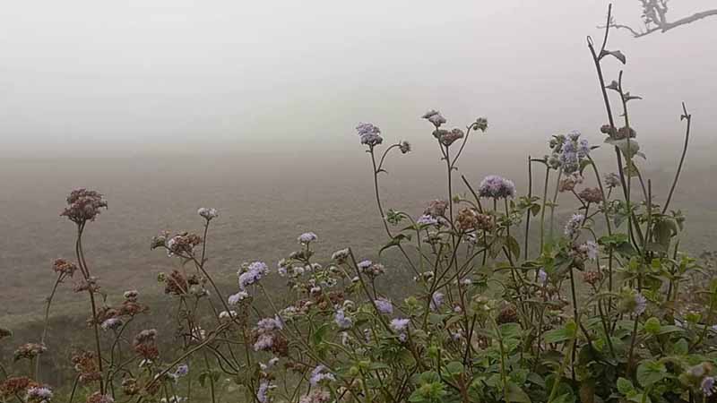 শীত নেমে এলো, আজ সর্বনিম্ন তাপমাত্রা ১৪ ডিগ্রি