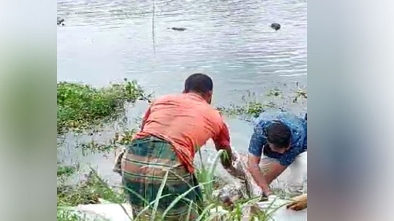 বাবাকে খাবার দিতে গিয়ে আর ফিরল না মেয়েটি, মরদেহ মিলল নদীতে