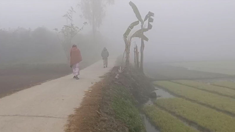 দেশে বইছে শৈত্যপ্রবাহ, তাপমাত্রা ৭.৯ ডিগ্রি 