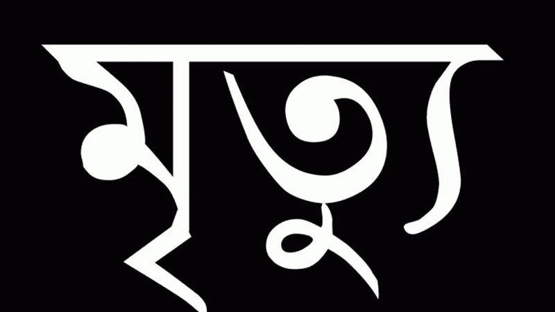 গাছের কলা কাটা নিয়ে ভাতিজার মারধরে প্রাণ গেল  চাচার