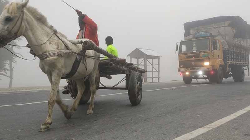 শীতের কুয়াশা, হেডলাইট জ্বালিয়ে চলছে যানবাহন