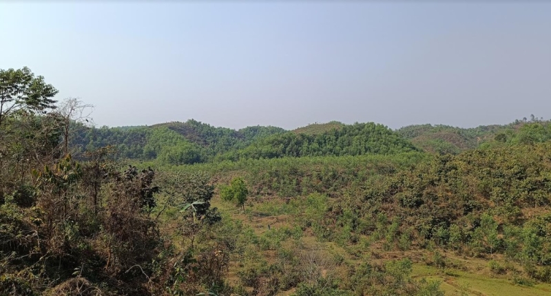 অপার সম্ভাবনার নতুন দ্বার দাওধারা গারো পাহাড় পর্যটন কেন্দ্র 