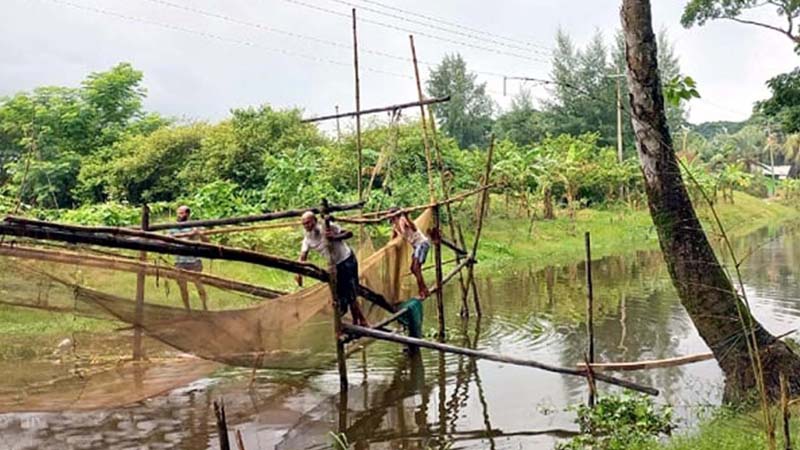 অচিরেই নোয়াখালীর মাছ ঠাঁই পাবে ‘যাদুঘরে’