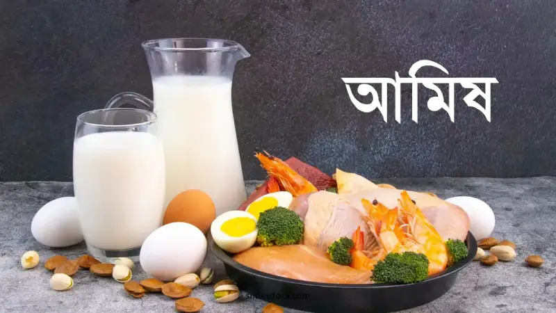 মাংসের থেকেও বেশি আমিষ রয়েছে যে ৫ টি খাবারে