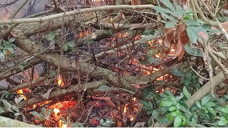 ভোলা নদীতে ভাটা থাকায় পানি ছিটাতে পারছেনা ফায়ার সার্ভিস