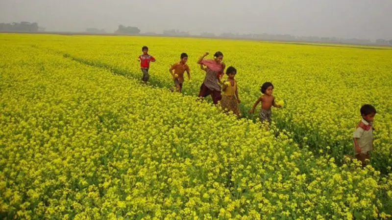 কোথায় তোমার গ্রাম ? 