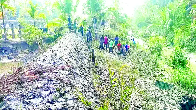 জামায়াতের উদ্যোগ স্বেচ্ছাশ্রমে দুই কিমি বাঁধ নির্মাণ