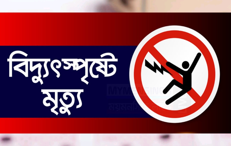 রায়পুরে বিদ্যুৎস্পৃষ্ট হয়ে যুবকের মৃত্যু 