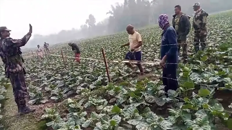 দহগ্রাম সীমান্তের সেই কাঁটাতারের বেড়ায় বাঁশ লাগালো বিএসএফ