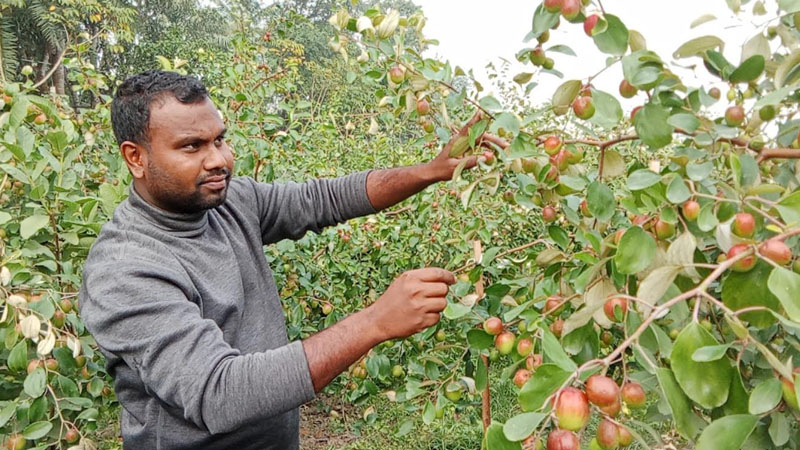 তরুণ কৃষি উদ্যোক্তা রাকিবুল ইসলামের সফলতার গল্প