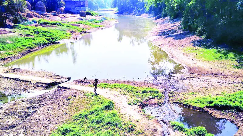 কবিগুরুর সেই নাগর নদ এখন সরু খাল