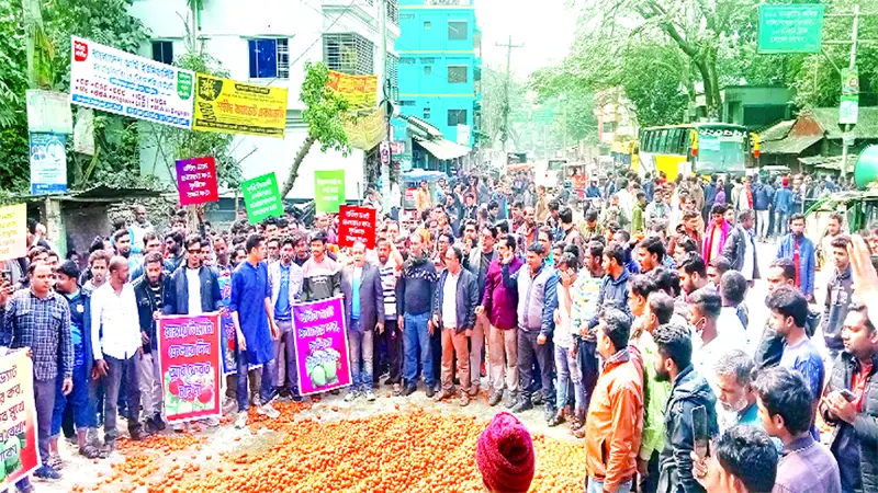 নাটোরে মহাসড়কে টমেটো ফেলে অবরোধ