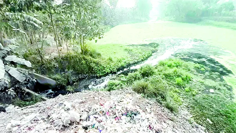 গোবিন্দগঞ্জ পৌরসভার বর্জ্যে নাব্য হারাচ্ছে করতোয়া