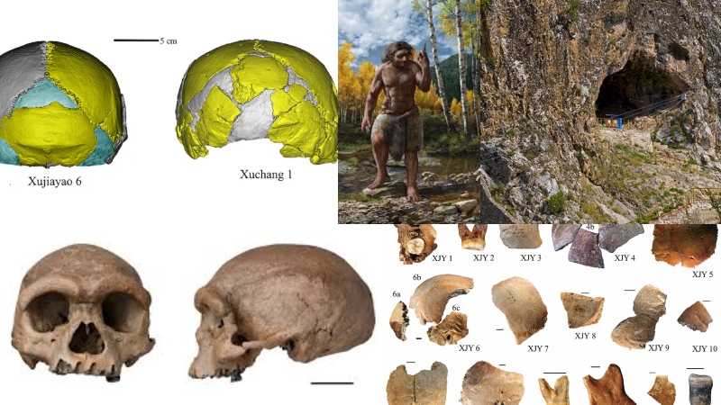 চীনে পাওয়া গেল প্রাচীন মানবের জীবাশ্ম: মানব ইতিহাসের নতুন অধ্যায়?