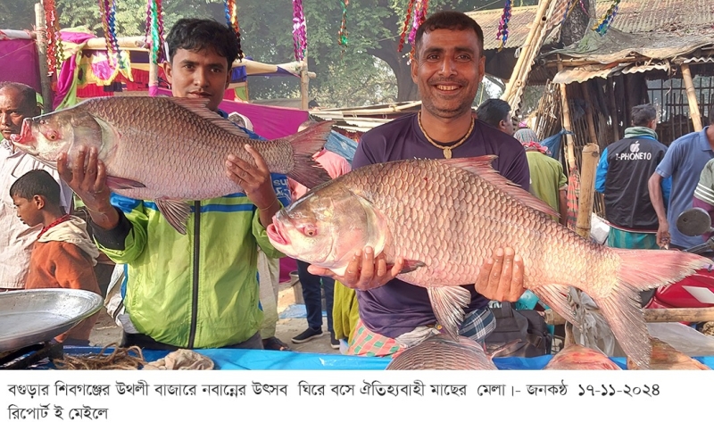 বগুড়ার শিবগঞ্জে সম্প্রীতির বন্ধনে নবান্ন’ ঘিরে মাছের ঐতিহ্যবাহী মেলা॥