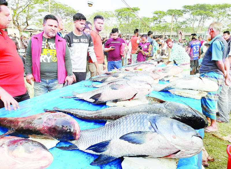 দুইশ’ বছরের প্রাচীন  কয়েক কোটি টাকার কেনাবেচা