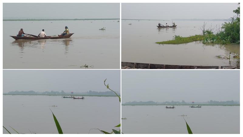 তেঁতুলিয়া নদীতে মা ইলিশ রক্ষার নামে  চলছে চোর-পুলিশ খেলা