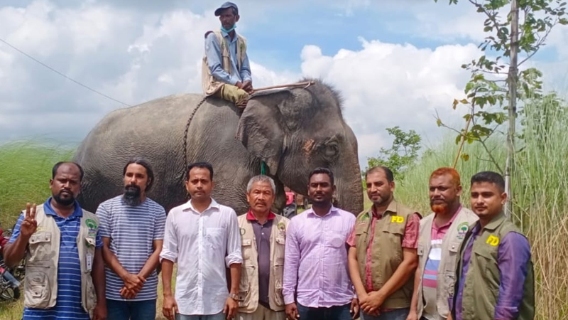 নির্যাতিত হাতি উদ্ধার, চাঁদাবাজ চক্রের মাহুত আটক