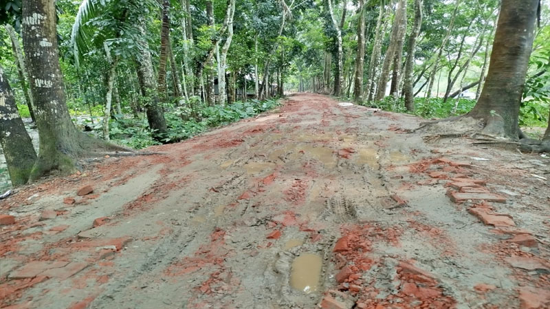 পাঁচ গ্রামের একমাত্র সড়কে খানাখন্দ, জনদুর্ভোগ চরমে