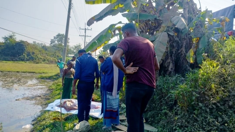 মীরসরাইয়ে অজ্ঞাত বৃদ্ধার মরদেহ উদ্ধার