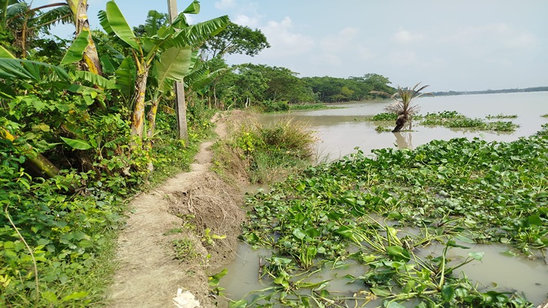 পায়রা নদীর ভাঙনে বিলীন গ্রাম রক্ষার বাঁধ, ঝুঁকিপূর্ণ বাকি অংশও