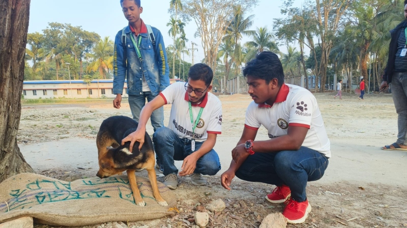 শীত নিবারণে পথ কুকুরদের রক্ষায় ’উষ্ণ বিছানা’