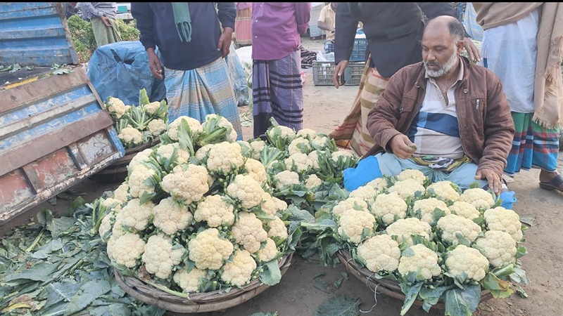 কেরানীগঞ্জে সবজির দাম না পেয়ে হতাশ কৃষক