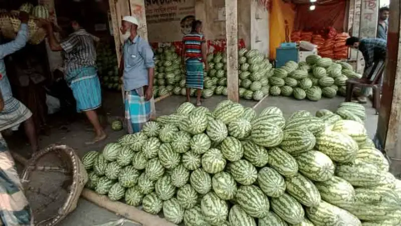 ম্যাজিস্ট্রেট এলে বিক্রি হয় পিস হিসেবে, আর চলে গেলে কেজি দরে