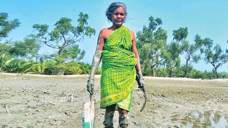 জলবায়ু পরিবর্তনে চরম ঝুঁকির মধ্যে নারীরা