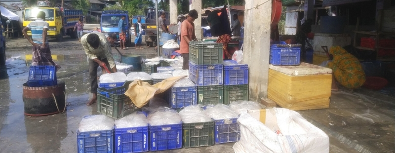 তালতলীর ফকিরহাট মৎস্য অবতরণ কেন্দ্র যেন পলিথিনের আতুরঘর- নিরব প্রশাসন।