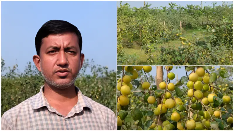 বছরে ৩-৪ লাখ টাকা খরচে প্রায় ১৪ লাখ টাকা বিক্রির সম্ভাবনা