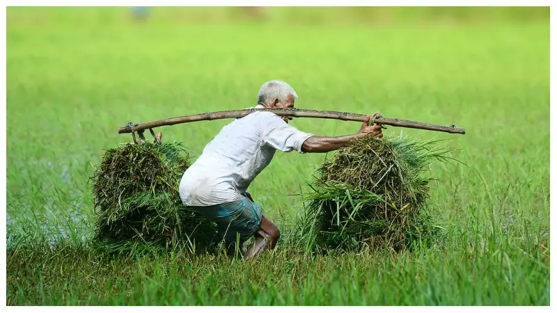 যে ৫টি কারণে পুরুষরা পরিবারের জন্য যেকোনো ত্যাগ স্বীকার করতে পারে