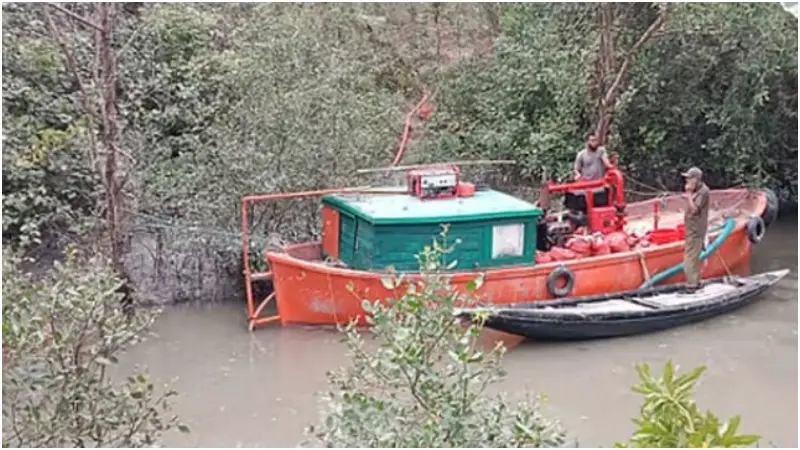 সুন্দরবনে আগুন: নিয়ন্ত্রণে ফায়ার সার্ভিসের চার ইউনিট