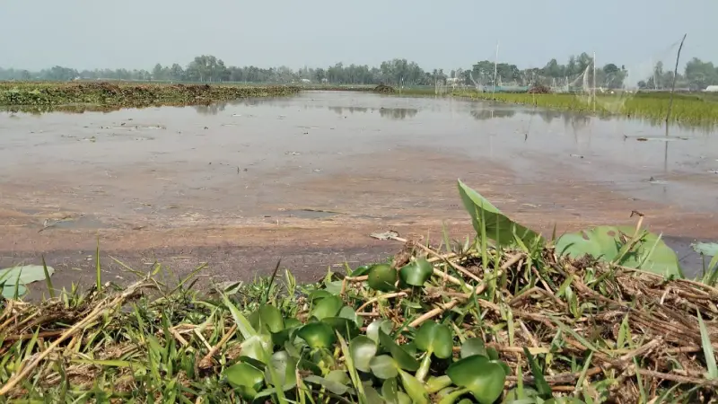 নওগাঁয় জলমহাল ইজারায় সাবেক জেলা প্রশাসক হারুন অর রশিদের বিরুদ্ধে দুর্নীতির অভিযোগ