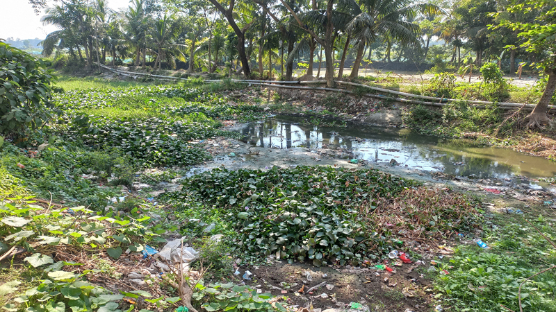 চাঁদপুরে ভরাট হয়ে আছে মিঠানিয়া খালের মুখ, হুমকিতে ১ হাজার একর ফসলি জমি