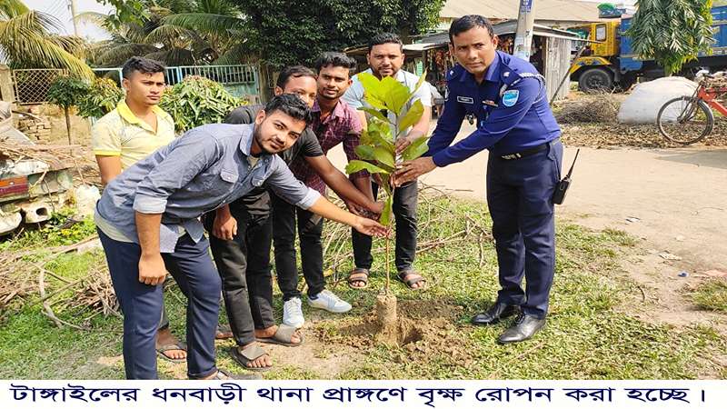 ধনবাড়ীতে বৃক্ষ রোপন কর্মসূচী পালিত