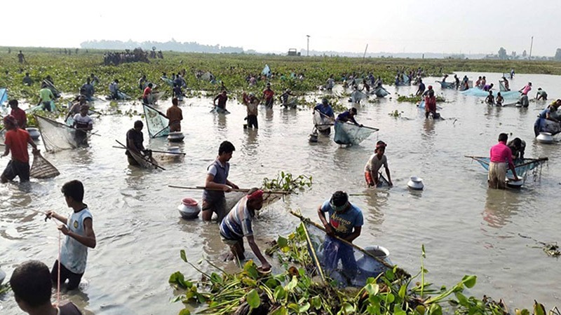 সকাল থেকে দুপুর পর্যন্ত মাছ ধরার অবিরাম চেষ্টা চালানোর পর হতাশ হয়ে বাড়ি ফেরেন তারা