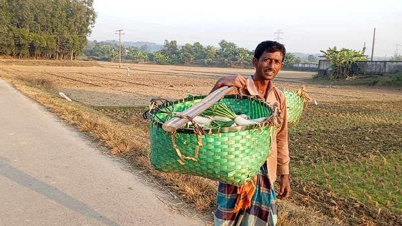 মীরসরাইয়ে কৃষকের ভাগ্য বদলে দিচ্ছে কমন ফ্যাসিলিটি সেন্টার