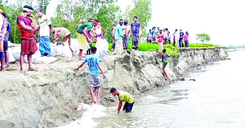 কুড়িগ্রামে স্বেচ্ছাশ্রমে  ভাঙন রোধের চেষ্টা গ্রামবাসীর