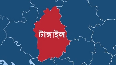 স্ত্রীর সঙ্গে অভিমান, বেগুন খেতে স্বামীর আত্মহত্যা