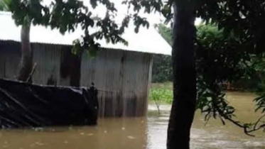 উখিয়ায় শতাধিক গ্রাম প্লাবিত, ৩০ হাজার মানুষ পানিবন্দি