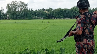 বিজিবির বাধায় সীমান্তে বেড়া দিতে পারেনি বিএসএফ