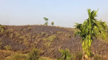 কমলগঞ্জের লাউয়াছড়া বনে আগুন, এক একর বন পুড়ে ছাই 