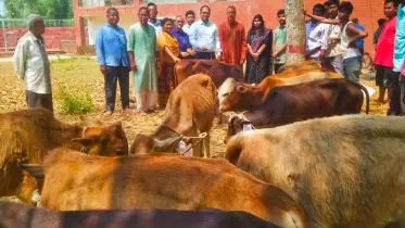 হালুয়াঘাটে ক্ষুদ্র নৃ-গোষ্ঠীর মাঝে ষাঁড় বাছুর বিতরণ