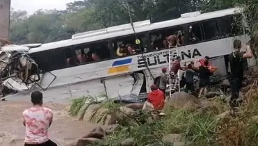 ব্রাজিলে বাস-ট্রাকের সংঘর্ষ, ১২ শিক্ষার্থী নিহত